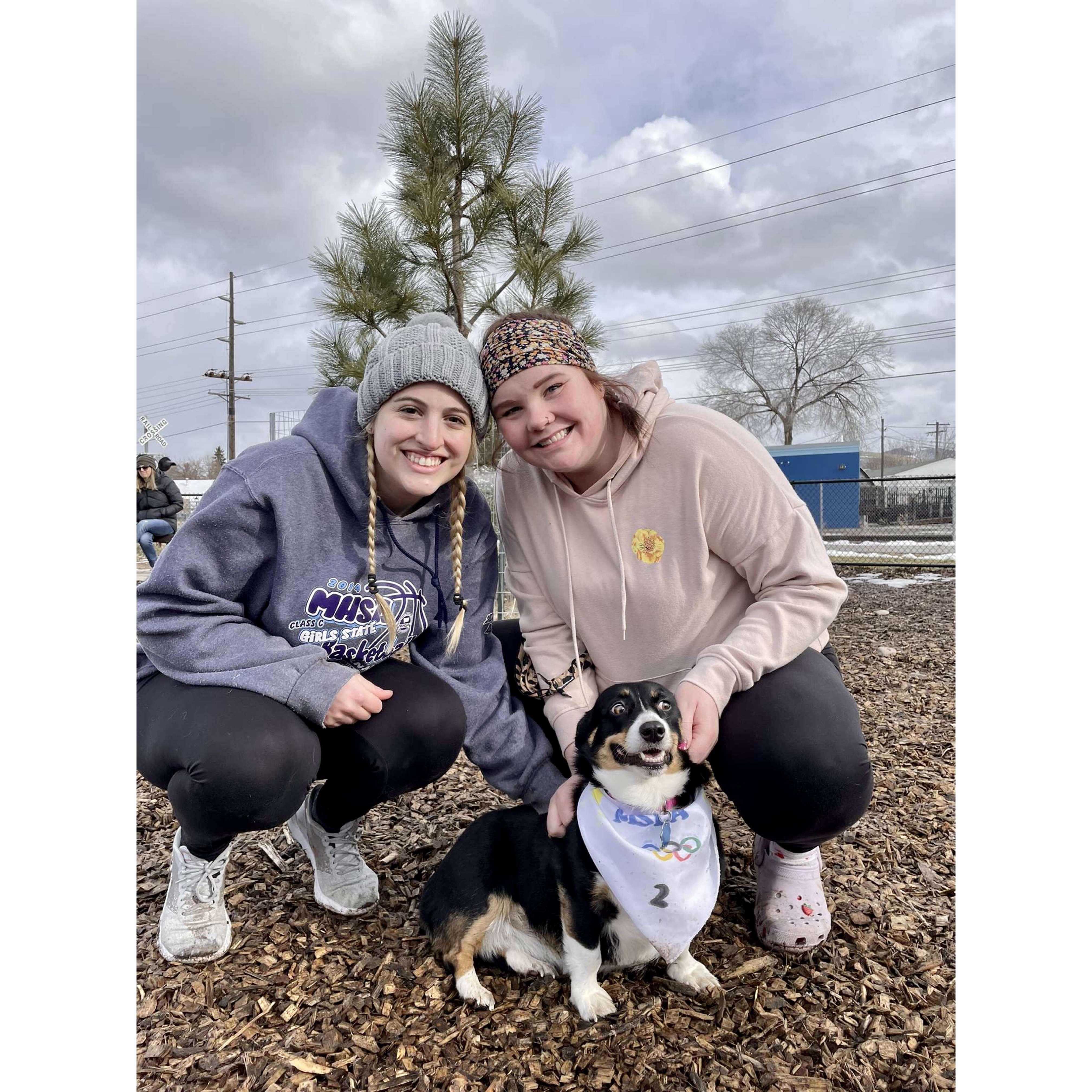 Corgi Olympics 2022!