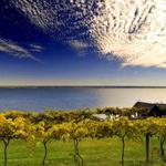 Cayuga Lake Wine Trail