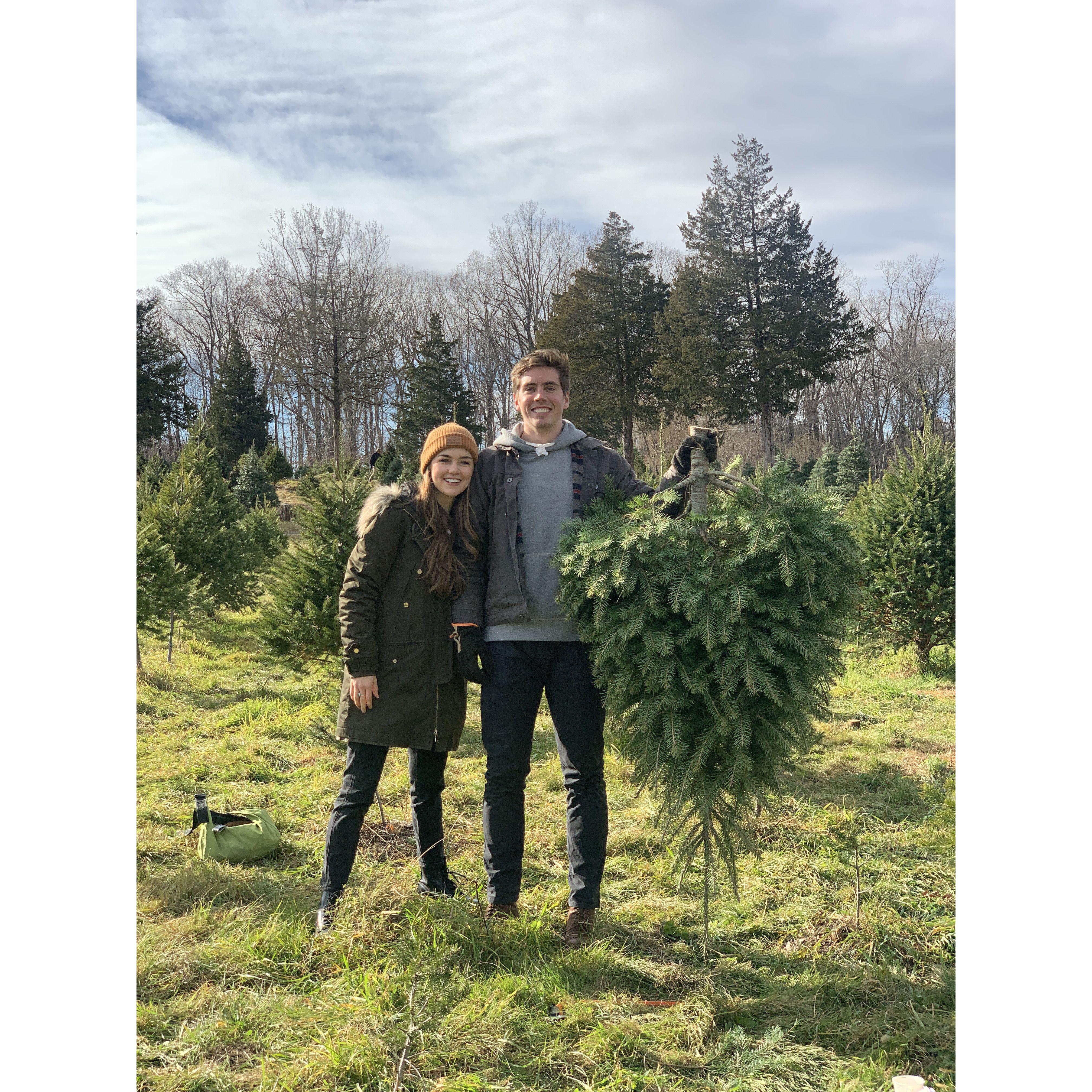 Our first Christmas tree cutting!