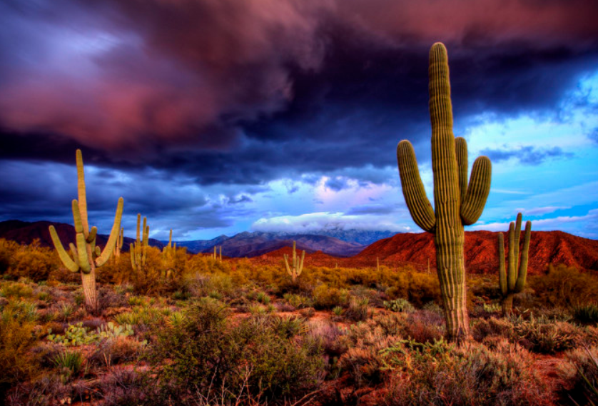 The Wedding Website of Jessica Zahn and James Donlan