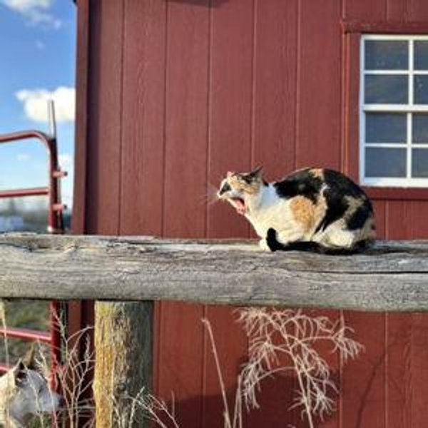 Farm Fund