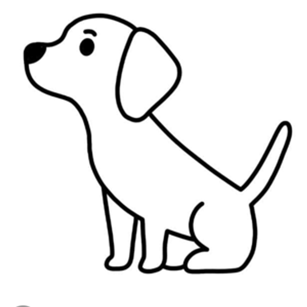 Our puppy fund
