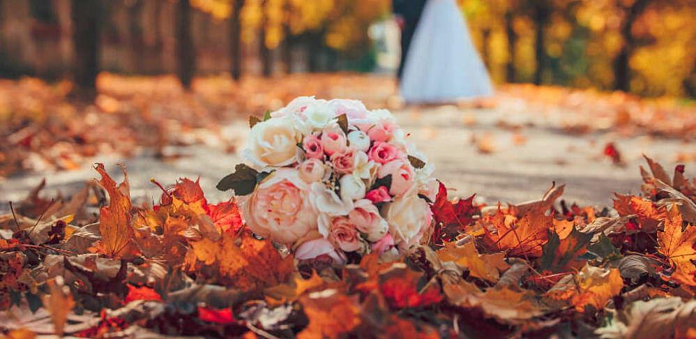 The Wedding Website of Gisel Lopez and Najabi Soto Hernandez