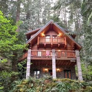 1 night stay in Washington Rainforest Cabin