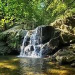 Patapsco Valley State Park - Avalon Area