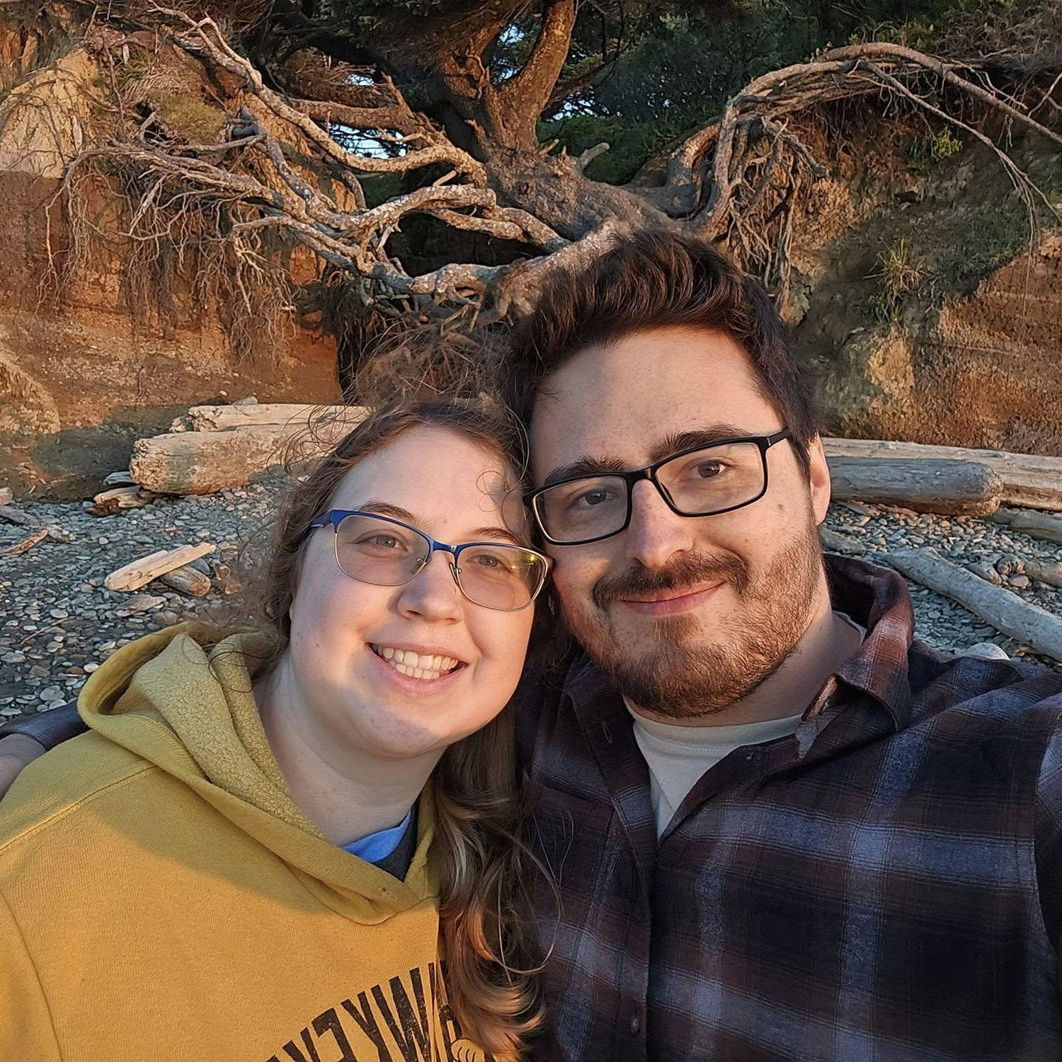 Tree of life in Washington
