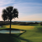 Turtle Point Golf Course