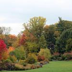 Cornell Botanic Gardens