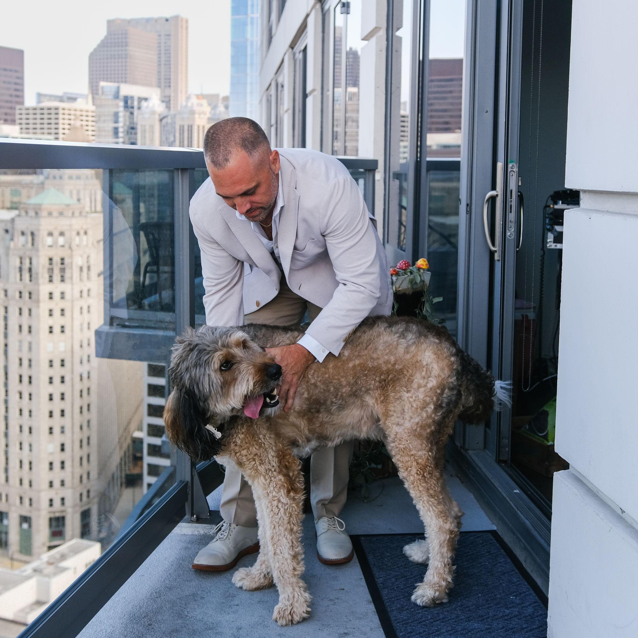 Pony doggo, tomato tamato?