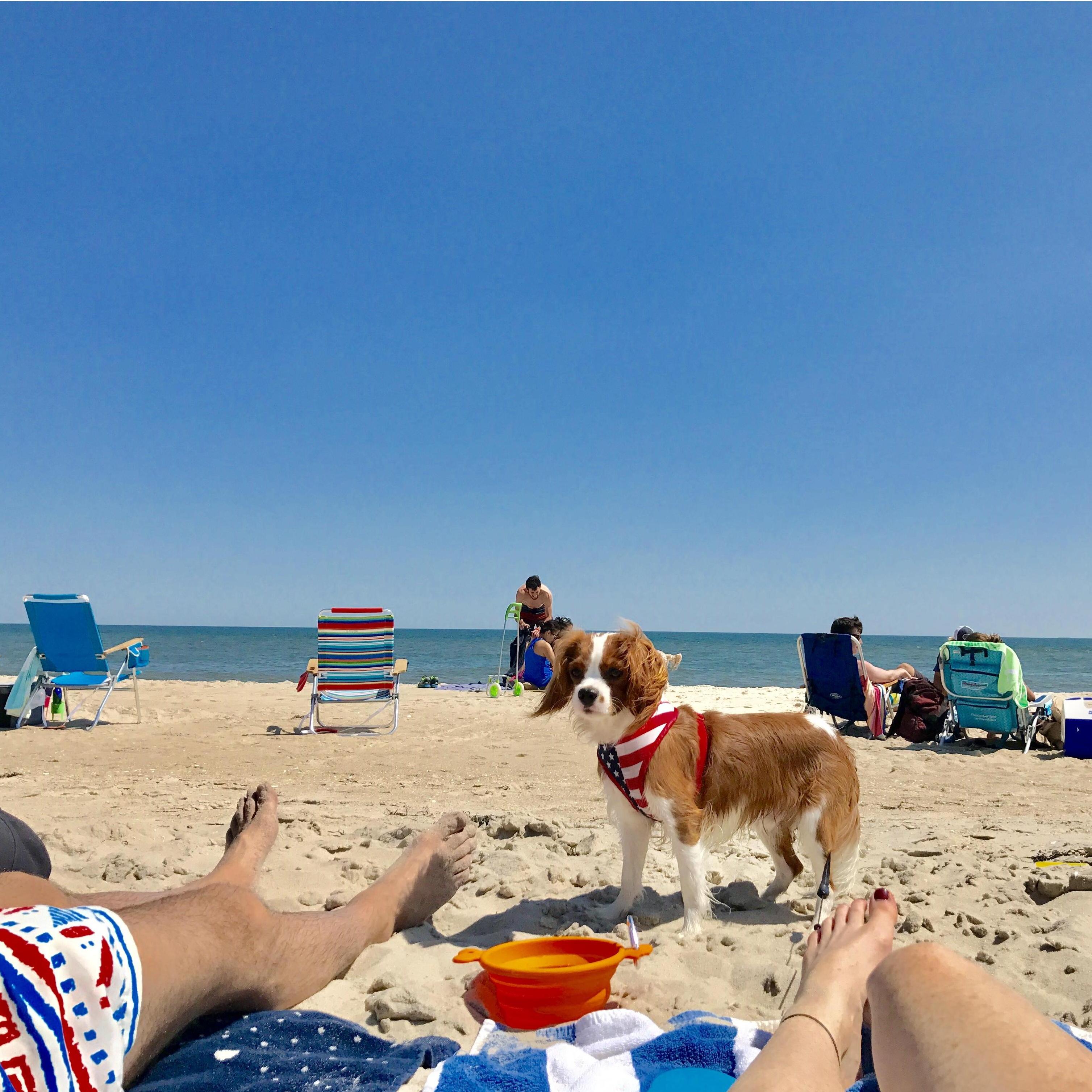 Family NY Beach Day