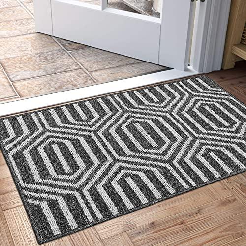 DEXI Indoor Doormat, Non Slip Absorbent Resist Dirt Entrance Rug, 20”x32” Machine Washable Low-Profile Inside Floor Door Mat