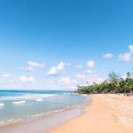 Sandy Beach - Sea Glass