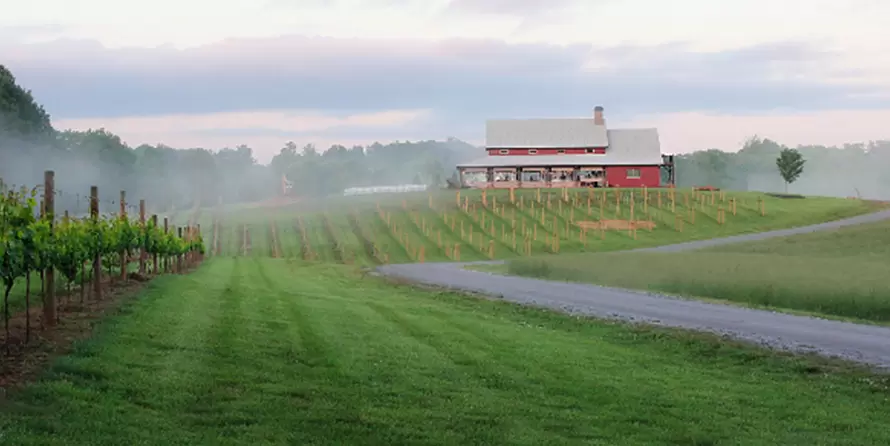 The Wedding Website of Gavin Pease and Jaclyn Nemeth