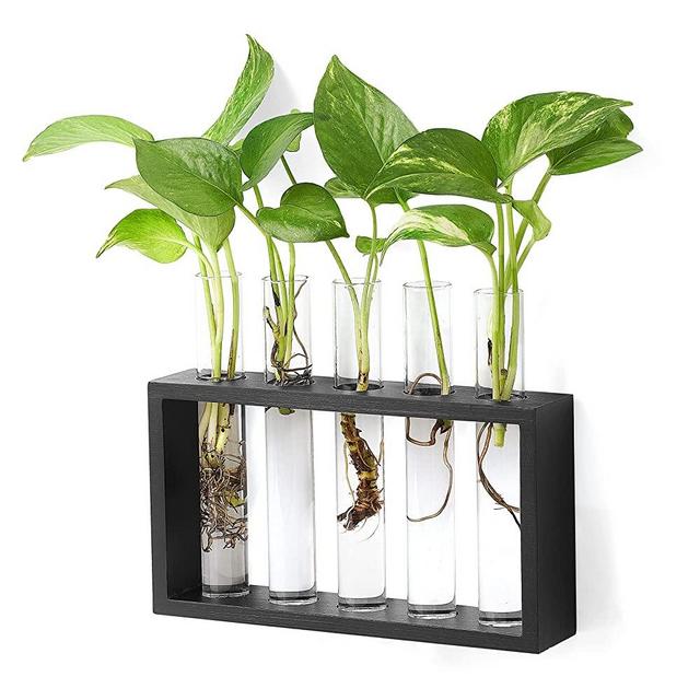 Mkono Wall Hanging Glass Planter Plant Terrarium Modern Flower Bud Vase in Wood Stand Rack Tabletop Terrarium for Propagating Hydroponic Plants, Home Office Decoration with 5 Test Tube, Medium, Black