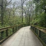 Richland Creek Greenway - McCabe Trailhead