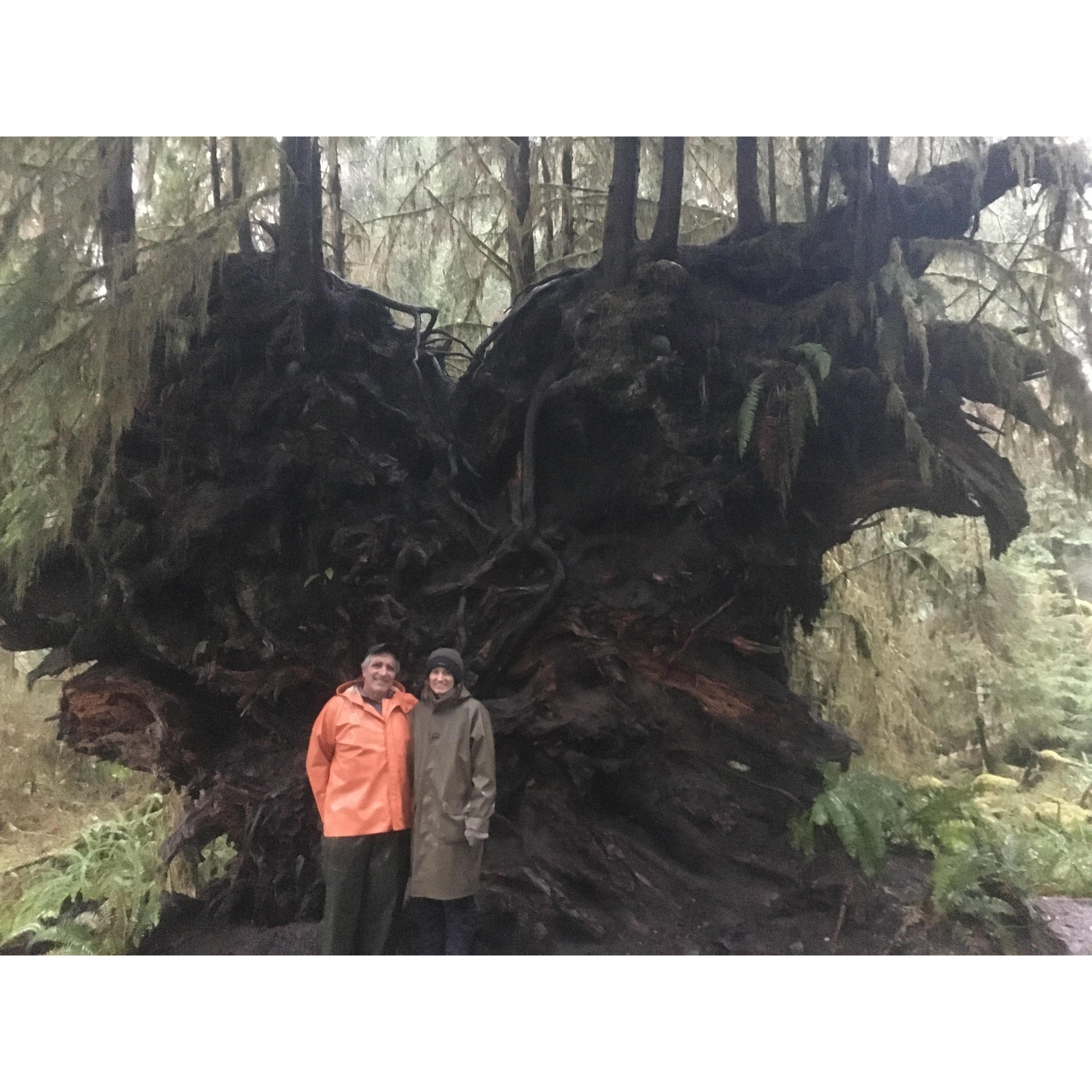 Sophie and her Dad Scott @ the Hoh rainforest in WA! Scott holds his whiskey better than Sophie.