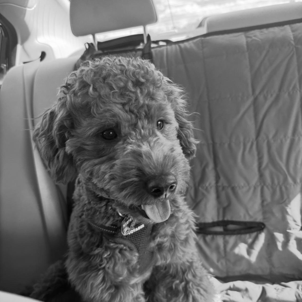 Our BABY BOY