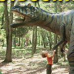 Dinosaur Place