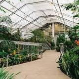 Butterfly Biosphere