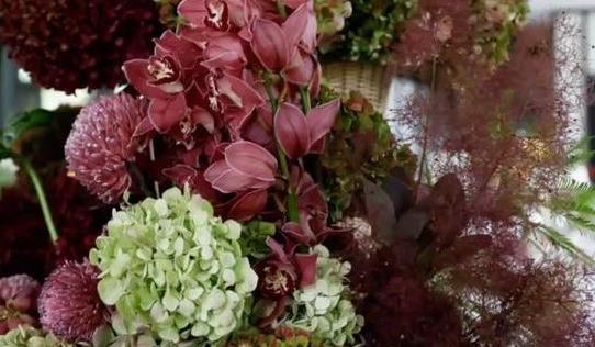 The Wedding Website of Morgan Branum and Antonio Castillo