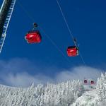 Gondola Skyride