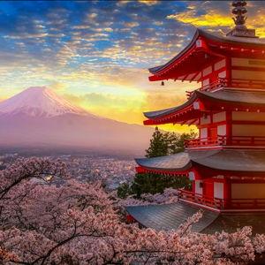 Japan Honeymoon Fund