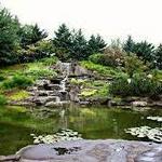 Frederik Meijer Gardens & Sculpture Park