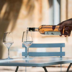 Guided Provence Wine Tour