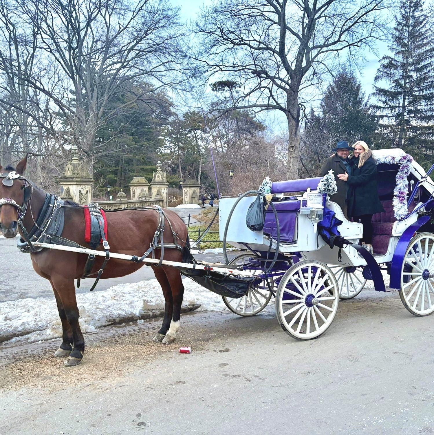 horse and carriage ride, right after he got down on one knee!
