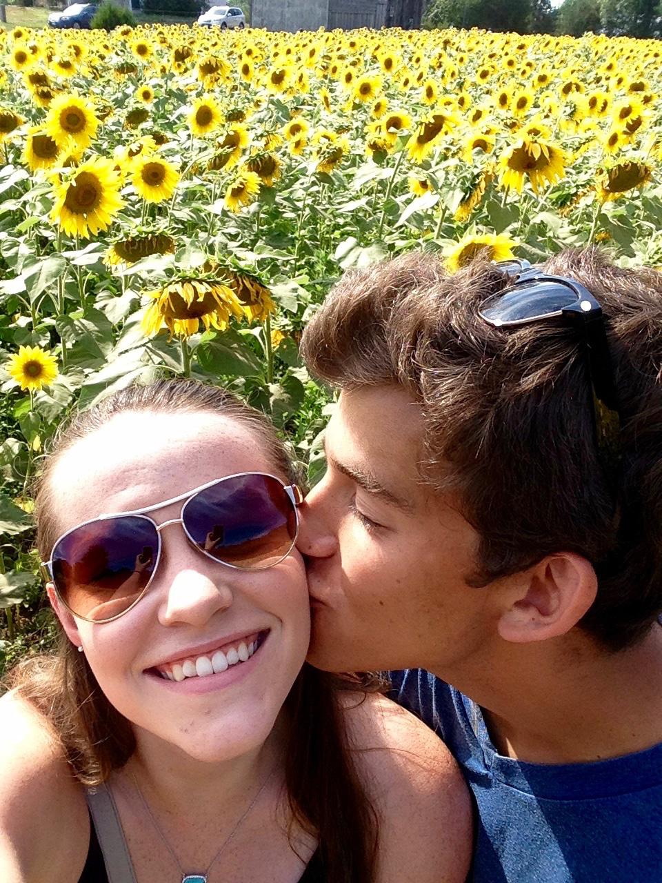 Buttonwood farm sunflowers, a yearly favorite!