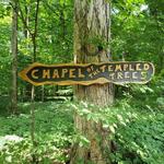 Funks Grove Nature Preserve