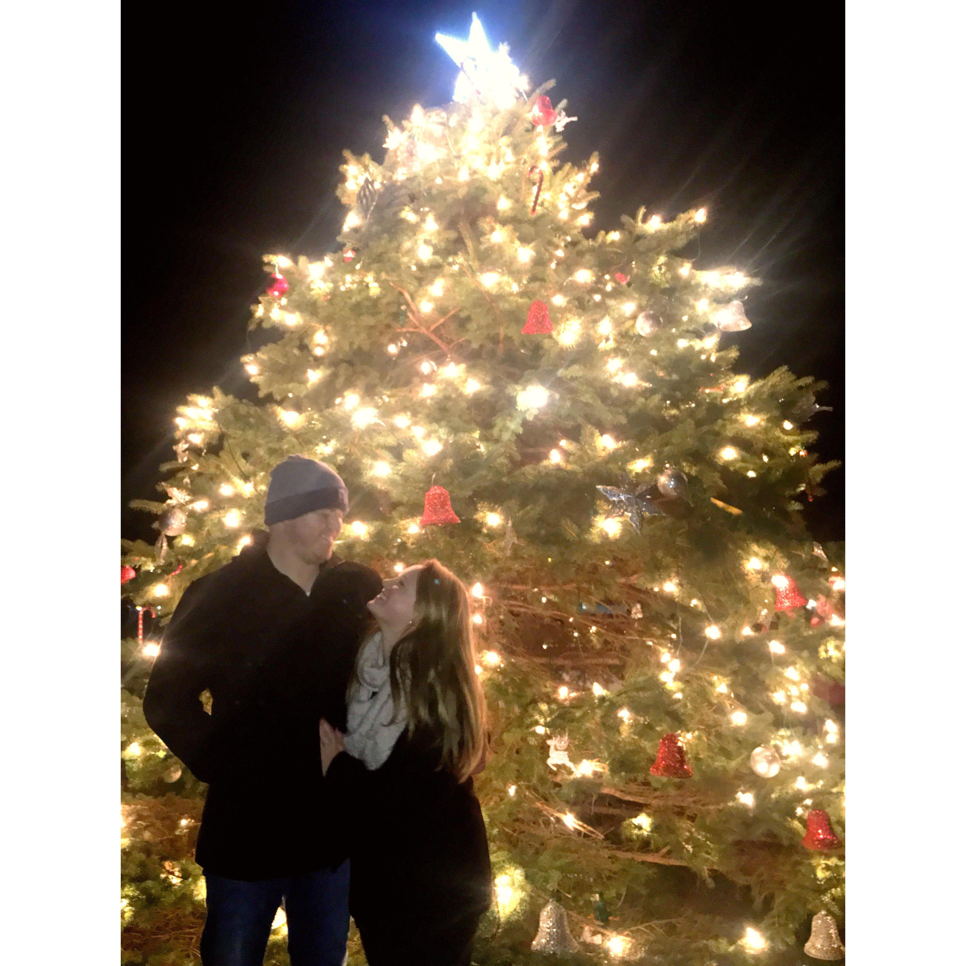 Narragansett Christmas Tree lighting