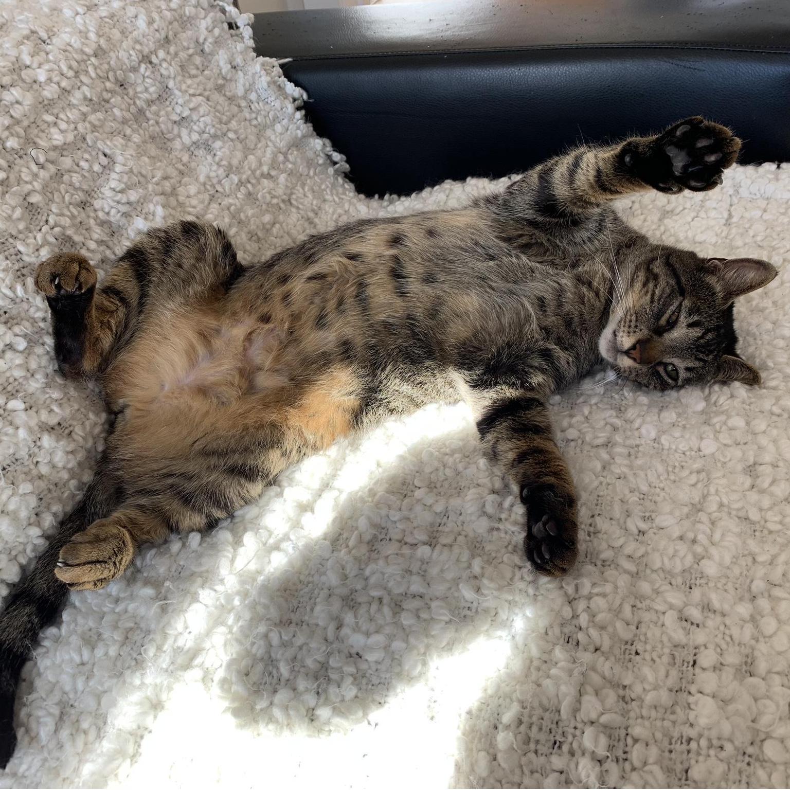 Oliver could care less for the photo opportunity.