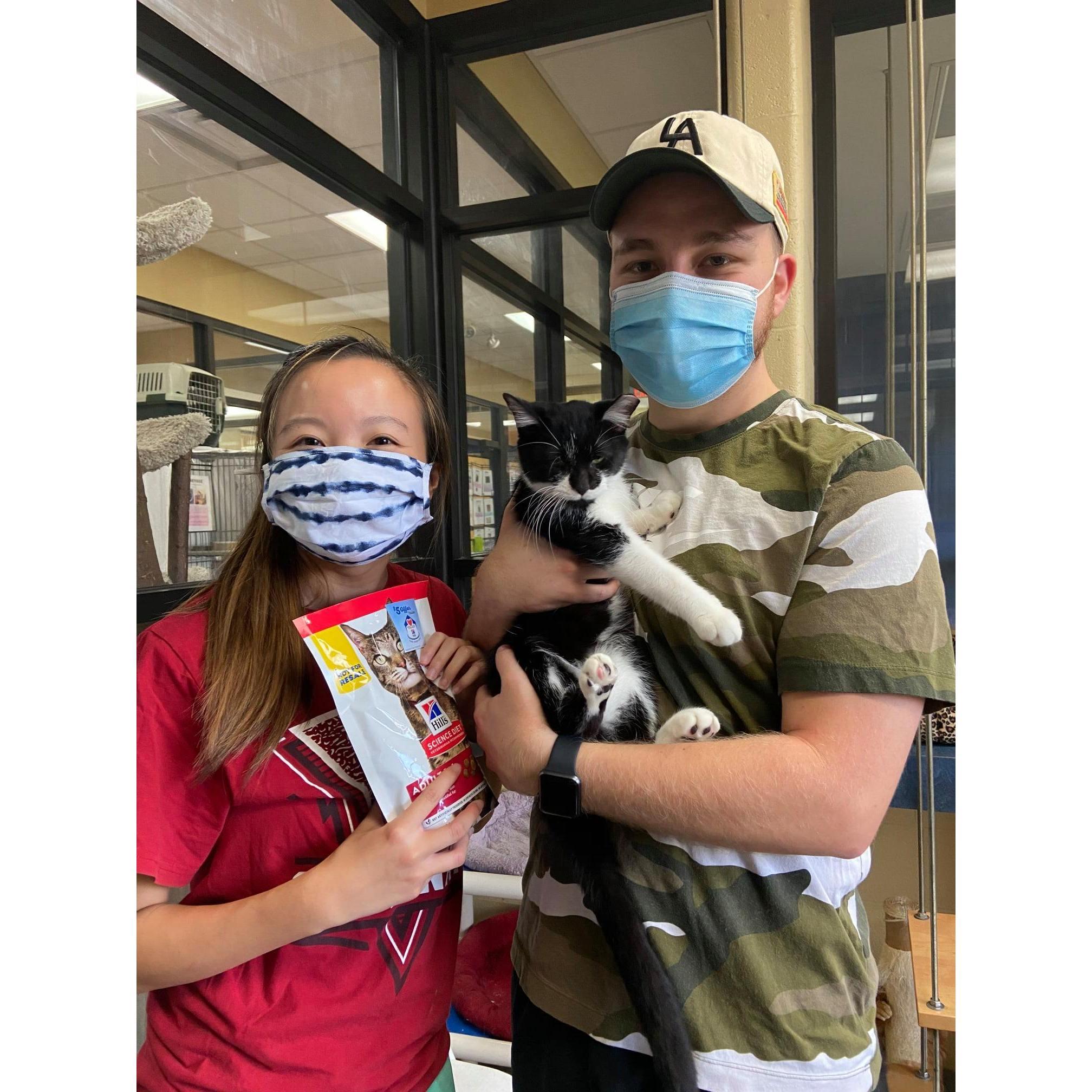 Yogi's Adoption at OAR, October 2020