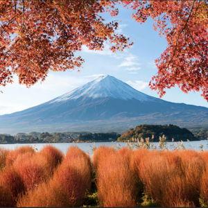 Mt. Fuji Tour