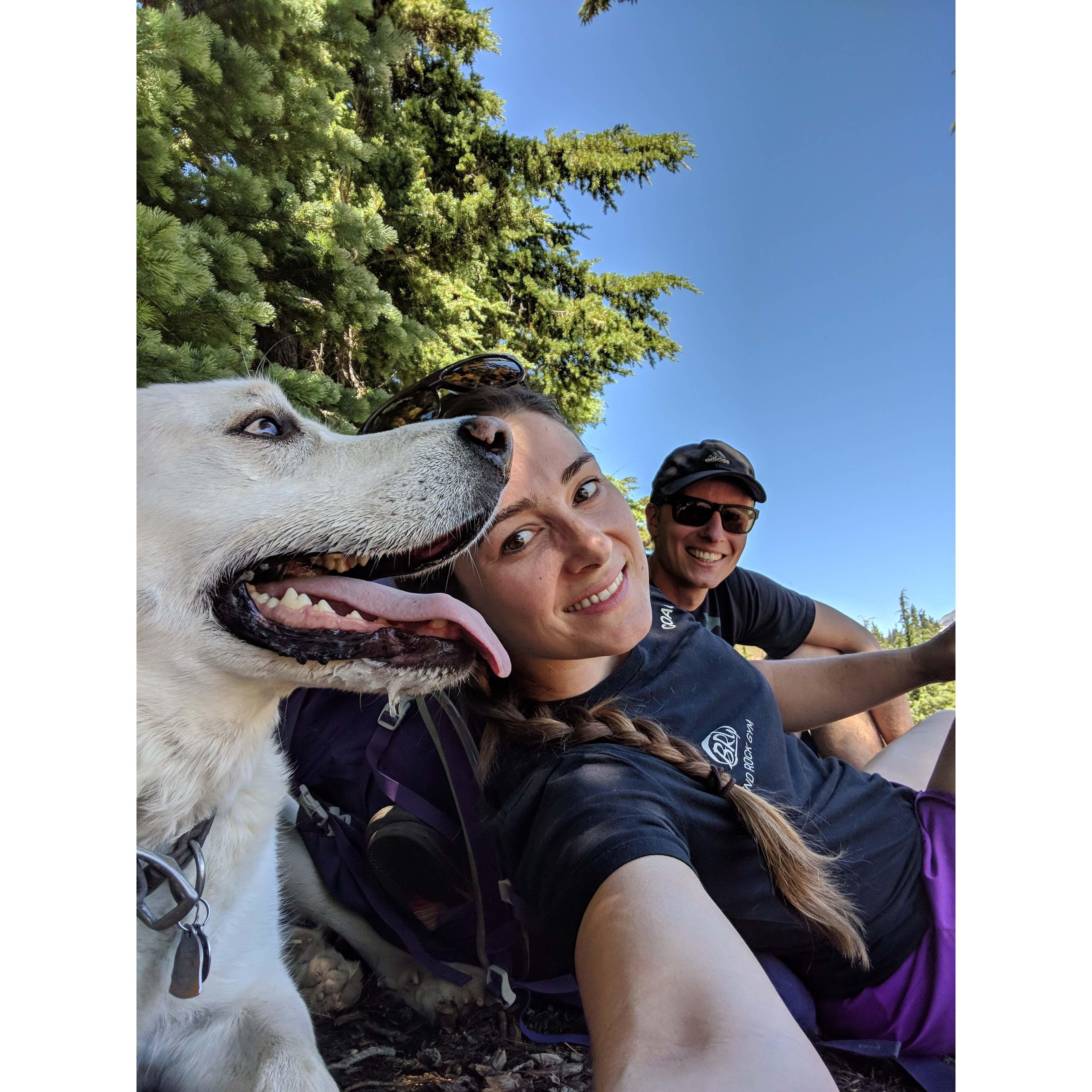 Backpacking with bear in the Cascades.