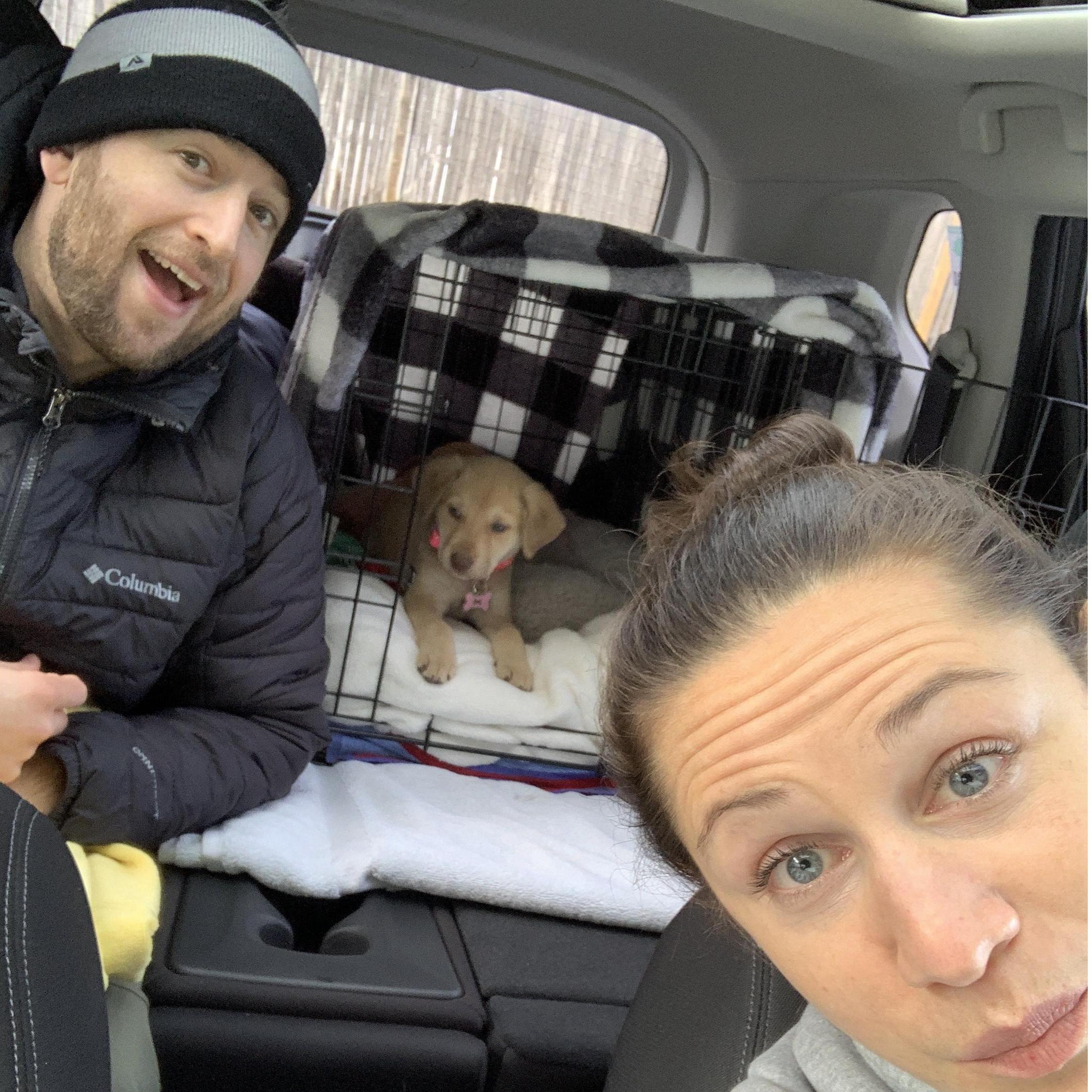 A very nervous Steph & Zak driving 6 hours with new puppy, Penny, to Steph's sister and brother-in-law's for Christmas