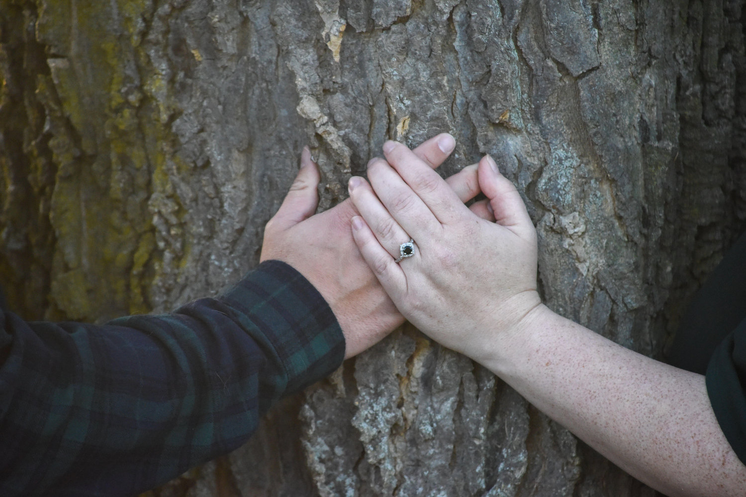 The Wedding Website of Craig Welsh and Andee  Armintrout