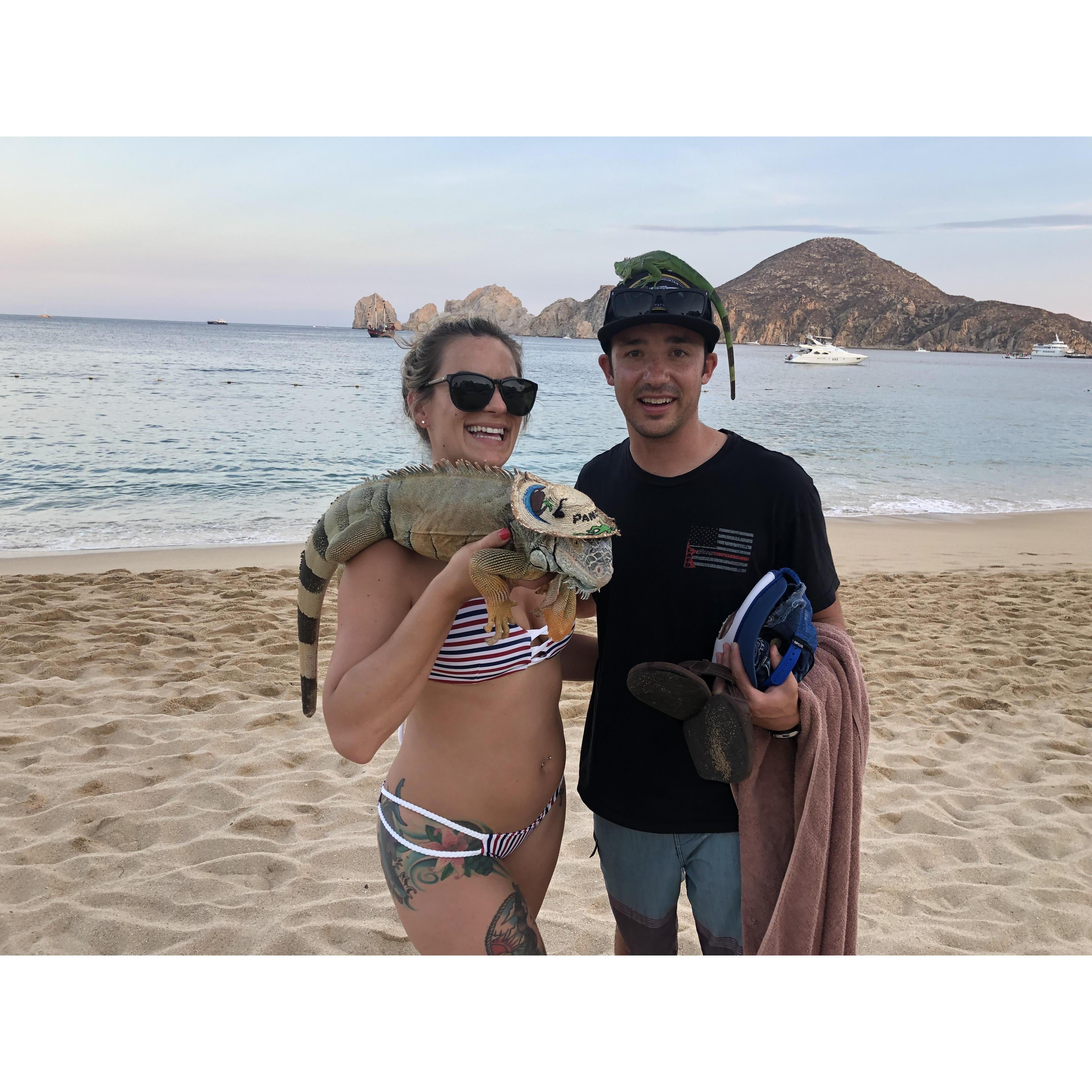 Cabo San Lucas, Mexico
