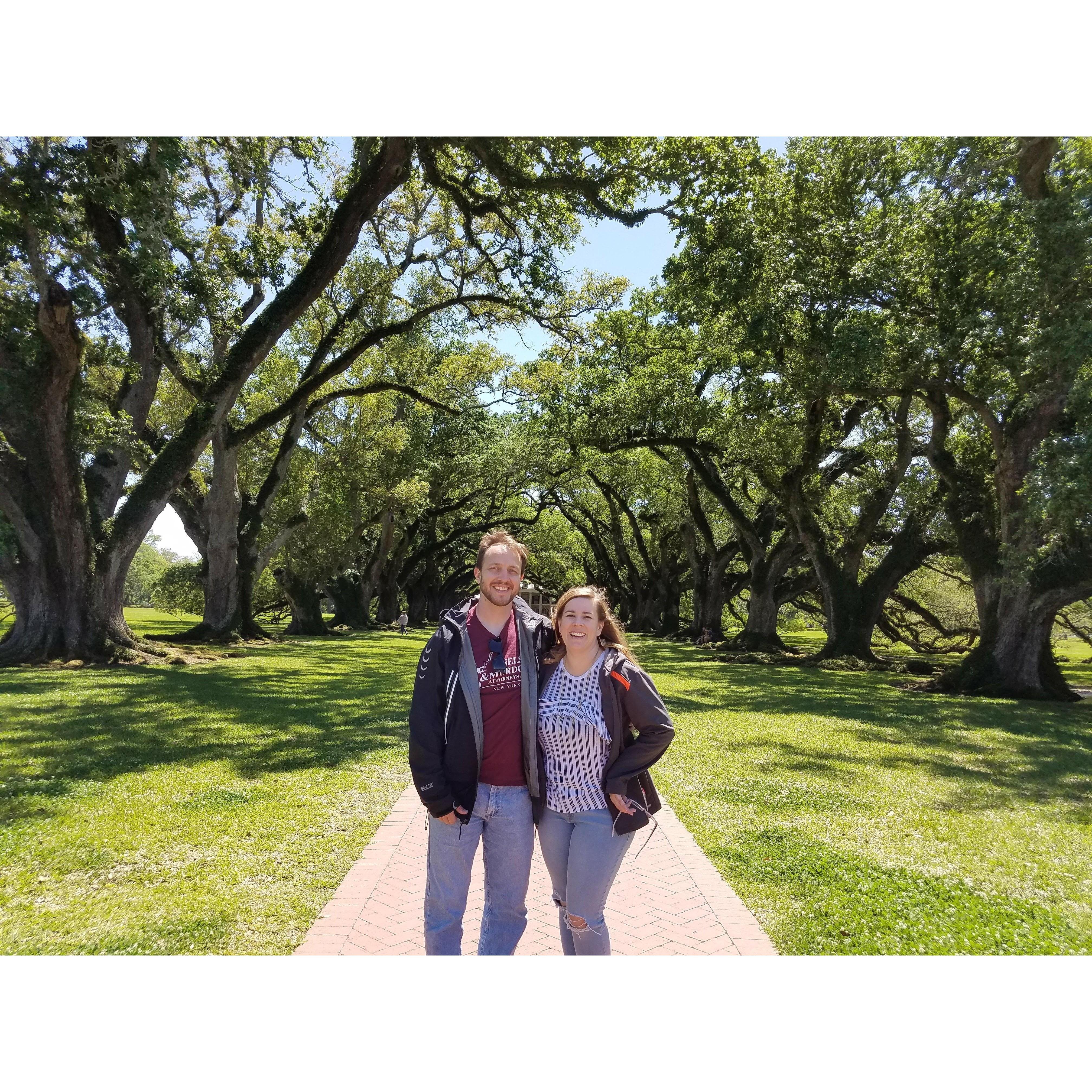 Oak Alley