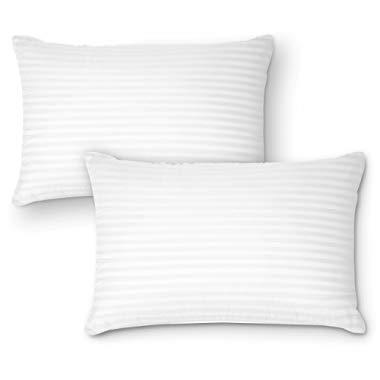 DreamNorth PREMIUM Gel Pillow Loft (Pack of 2) Luxury Plush Gel Bed Pillow For Home + Hotel Collection [Good For Side and Back Sleeper] Cotton Cover Dust Mite Resistant & Hypoallergenic - Queen Size
