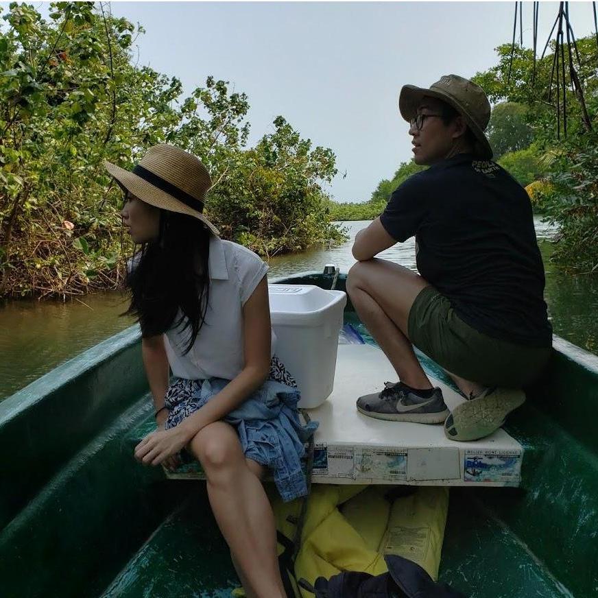 On the lookout for crocs in Belize