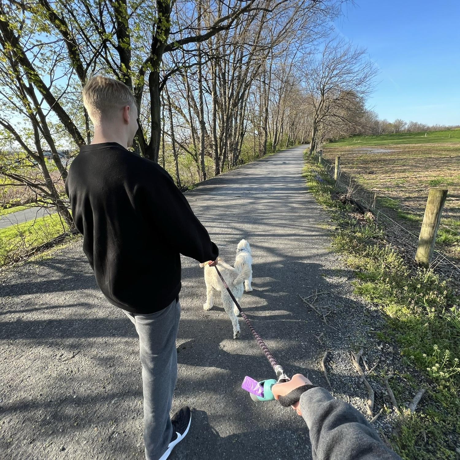 One of many walks on The Trail!
