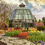 The Arboretum at Penn State