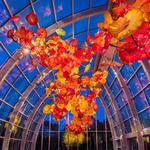 Chihuly Garden and Glass