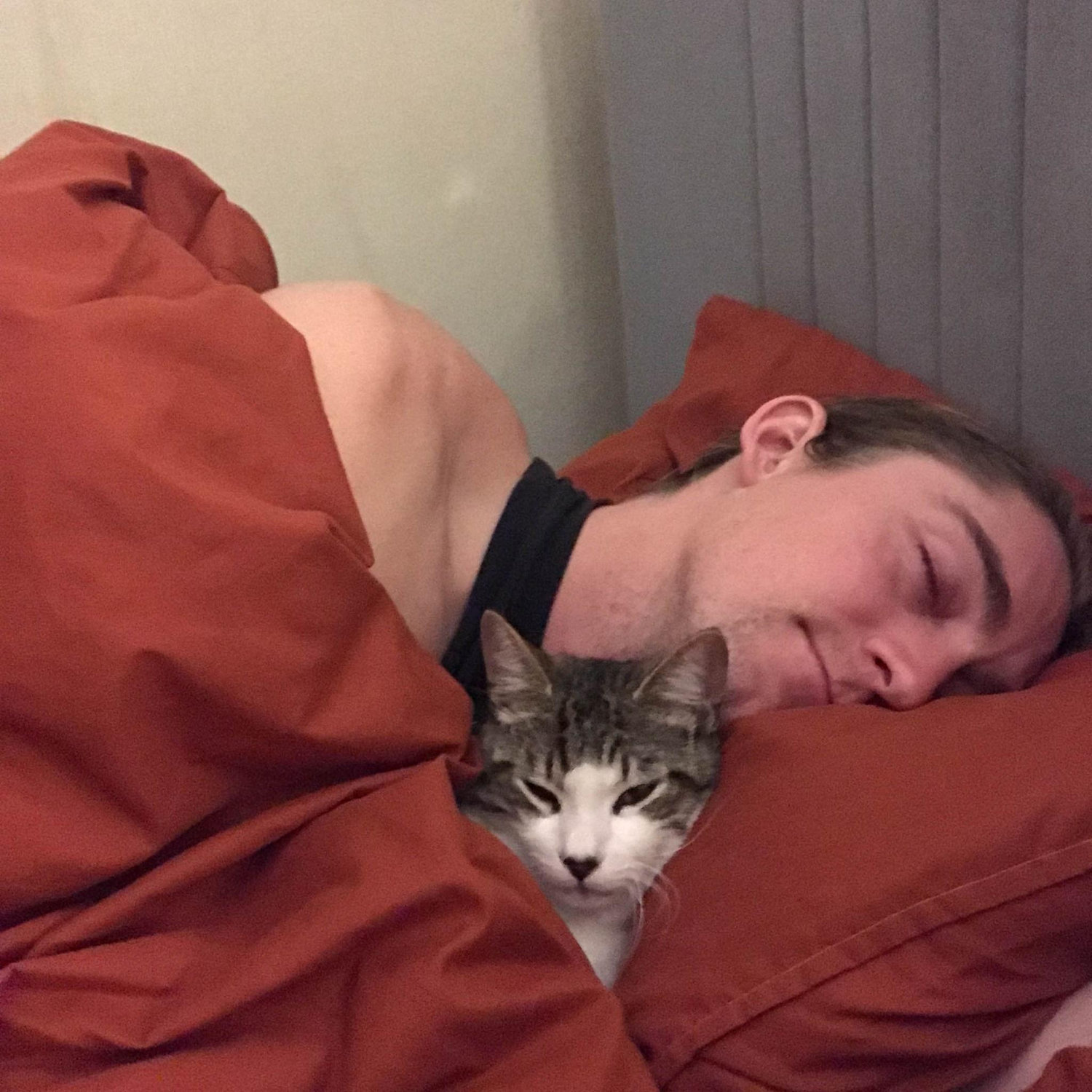 Start of our cat hotel days
