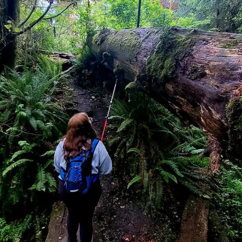 Taken by Joe of Lauren in the Hoh Rainforest of Washington State.