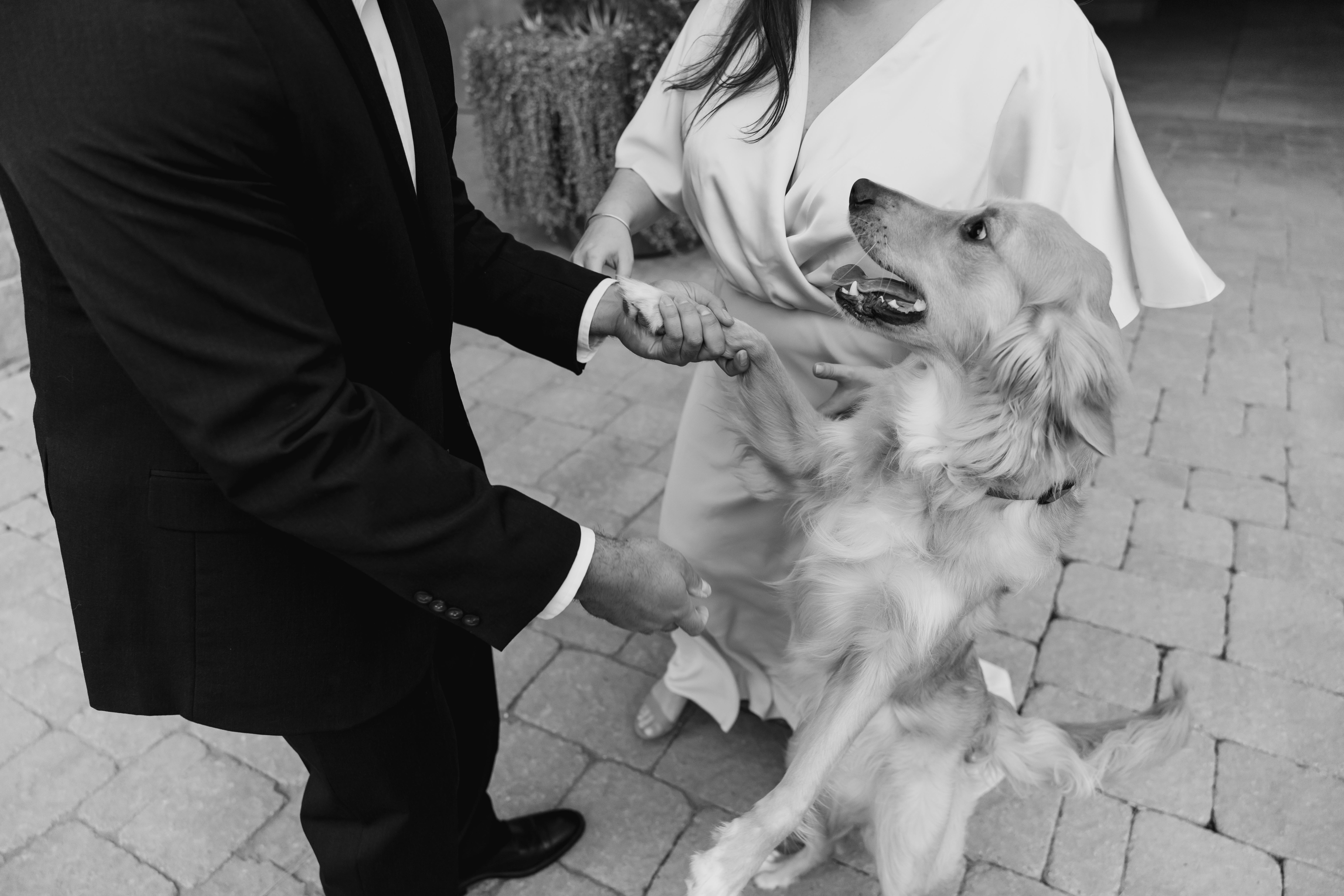 The Wedding Website of Katie Middleton and Clayton Corkins