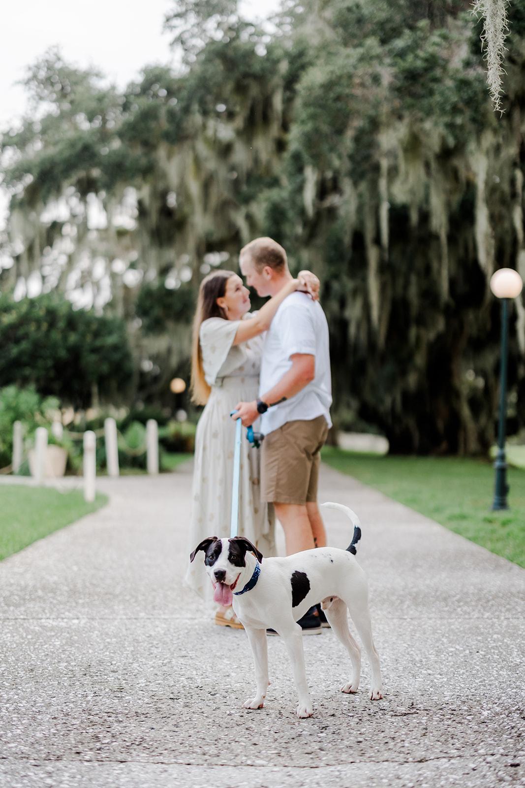 The Wedding Website of Miranda Bryarly and Alex Bradshaw