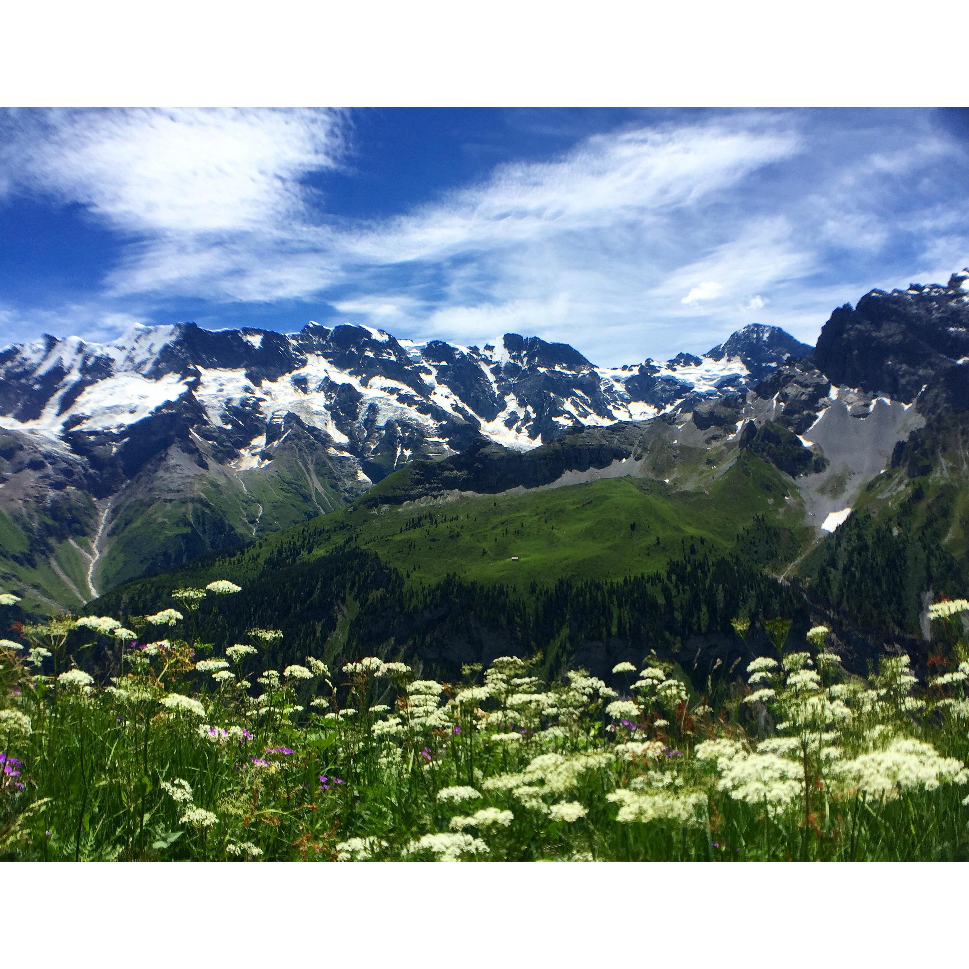 Gimmelwald, 2017